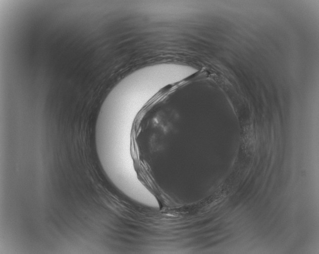 X0000070170653200606231922