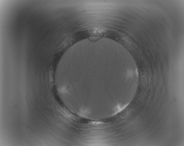 X0000070170654200606231922