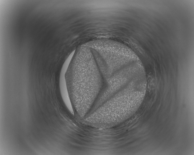 X0000070170655200606231922