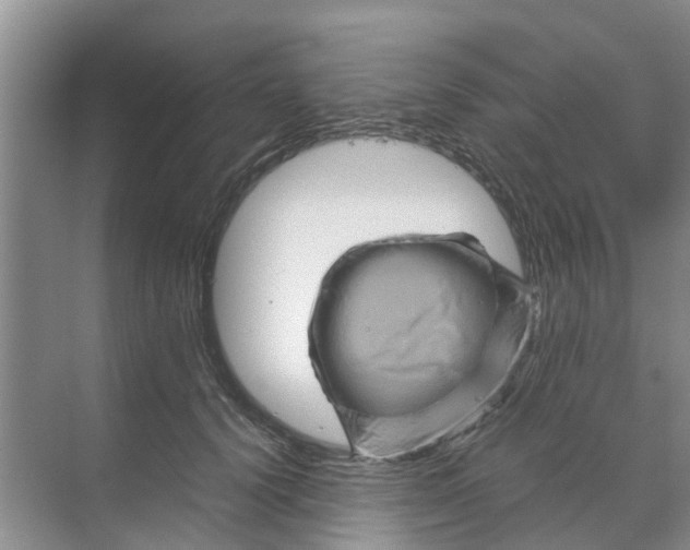 X0000070170656200606231922