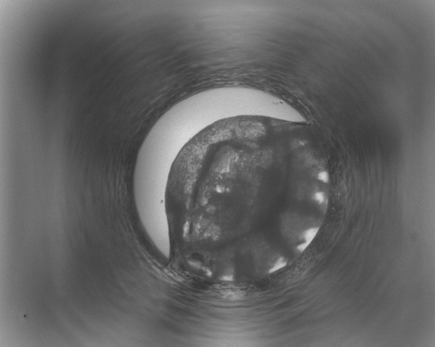 X0000070170658200606231922