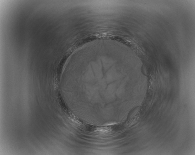 X0000070170659200606231922