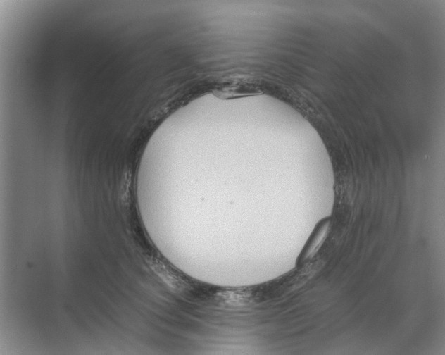 X0000070170660200606231922