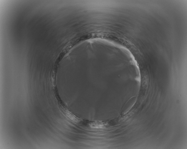 X0000070170661200606231922