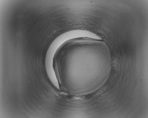 X0000070170662200606231922