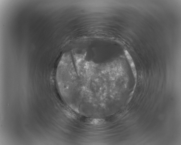 X0000070170663200606231922