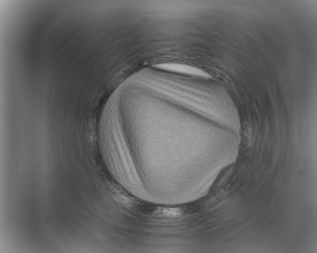 X0000070170665200606231922