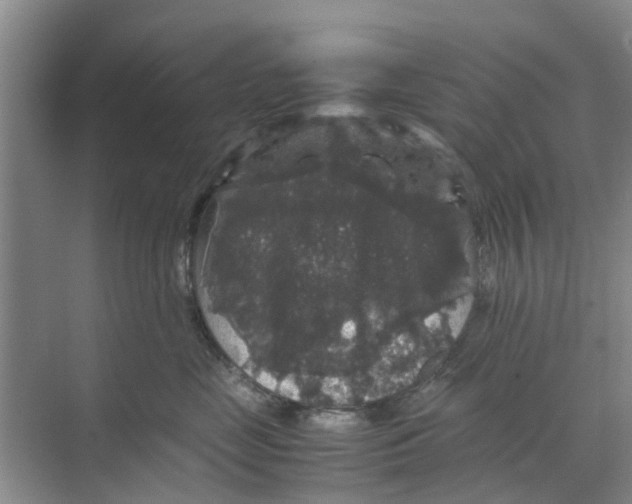 X0000070170669200606231922