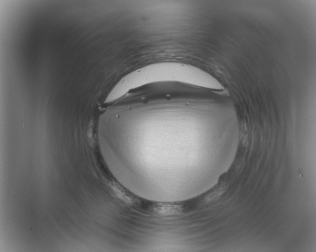 X0000070170670200606231922