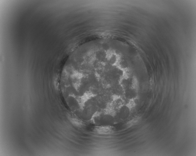 X0000070170671200606231922