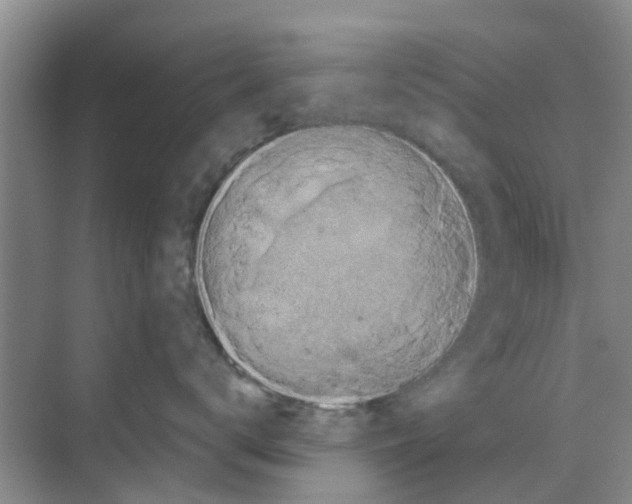 X0000070170672200606231922