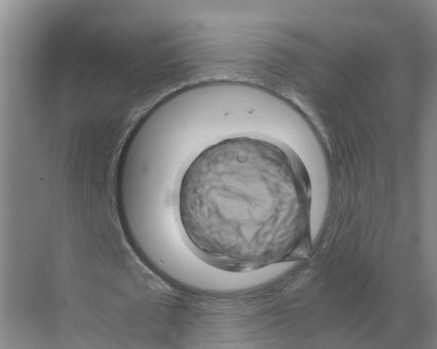 X0000070170673200606231921