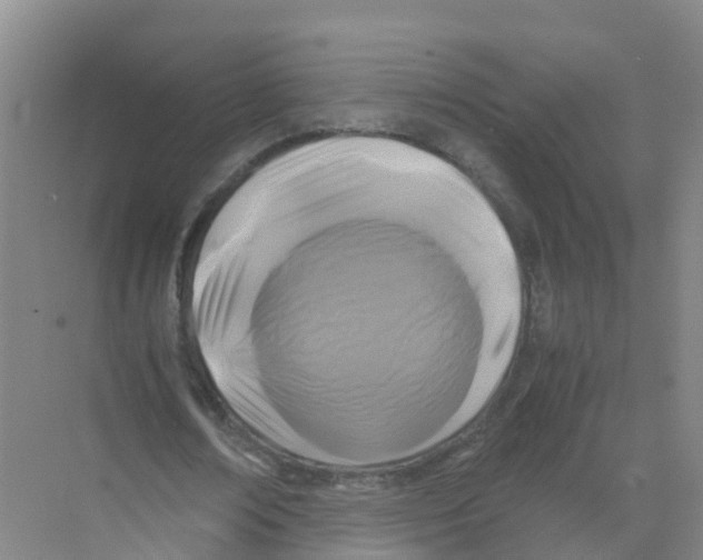 X0000070170674200606231921