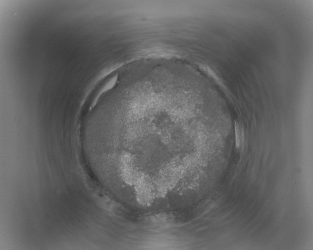 X0000070170675200606231921