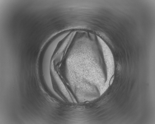 X0000070170676200606231921