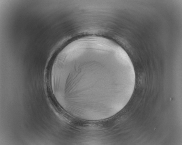 X0000070170678200606231921