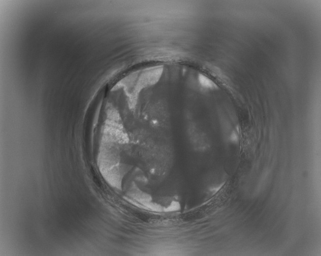 X0000070170679200606231921