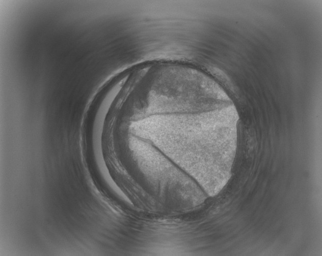 X0000070170680200606231921