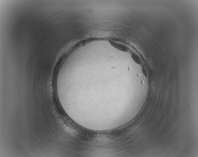 X0000070170682200606231921