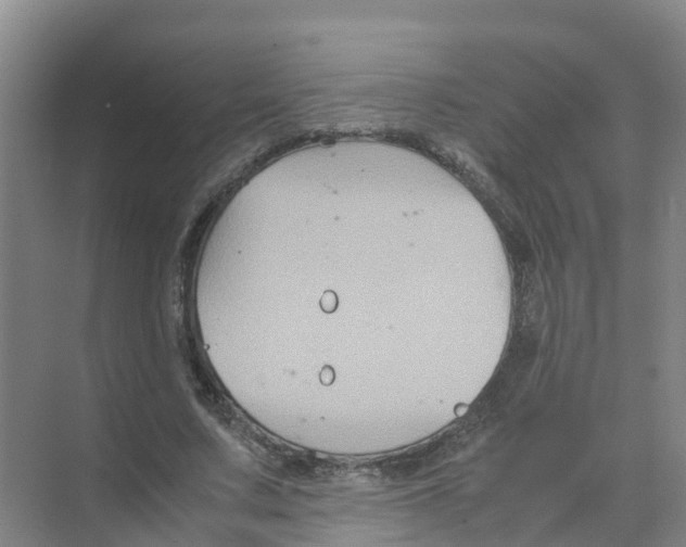 X0000070170683200606231921