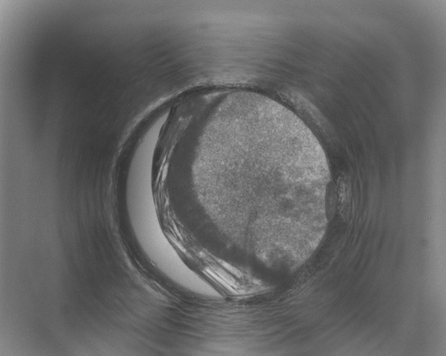 X0000070170684200606231921