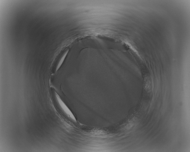 X0000070170685200606231921