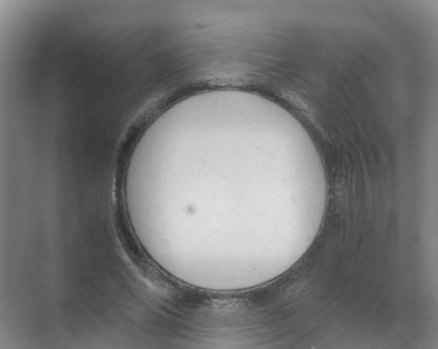 X0000070170686200606231921