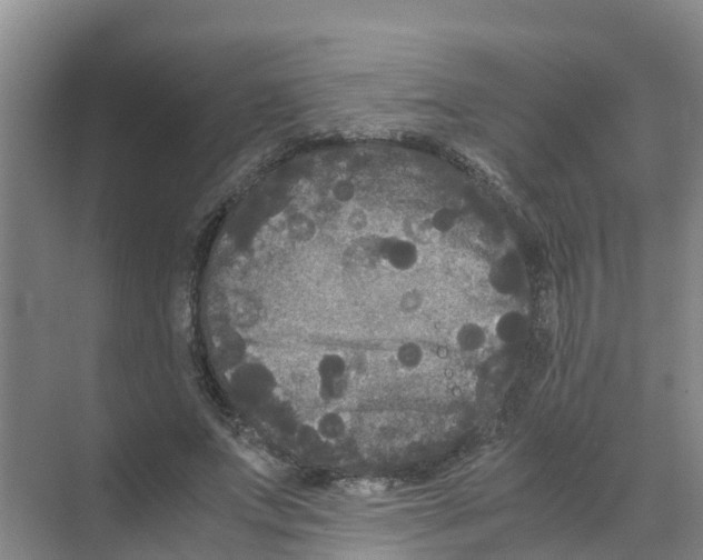 X0000070170687200606231921