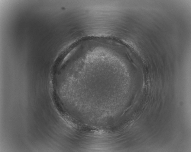 X0000070170688200606231921