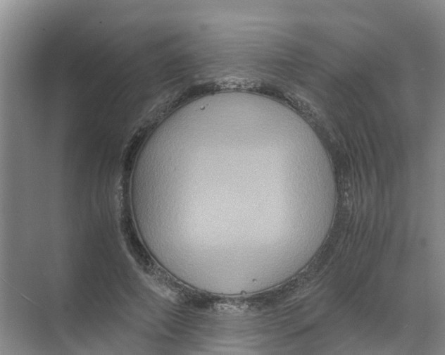 X0000070170690200606231921