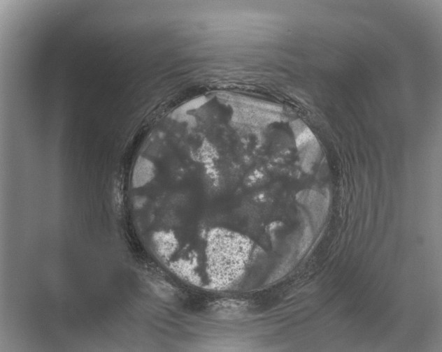 X0000070170691200606231921