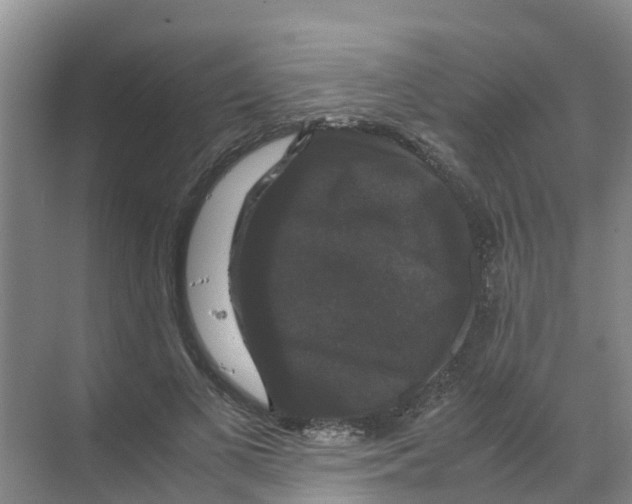 X0000070170693200606231921