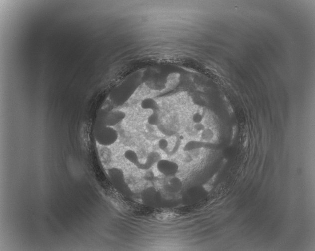 X0000070170695200606231921