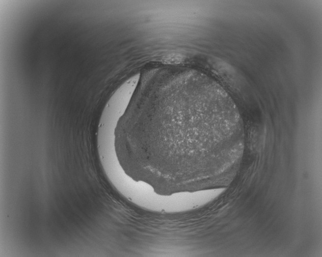 X0000070170697200606231921