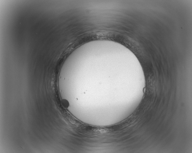 X0000070170698200606231921