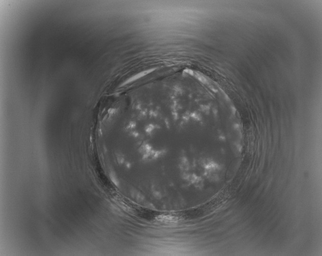 X0000070170699200606231921