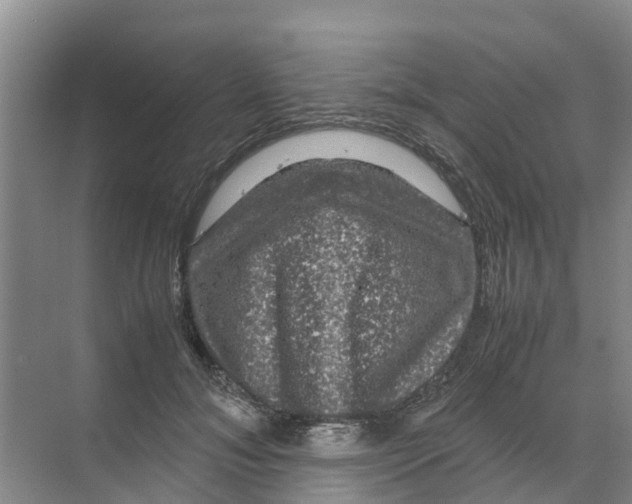 X0000070170700200606231921