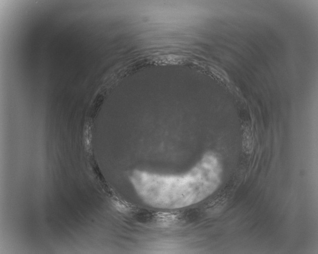 X0000070170701200606231921