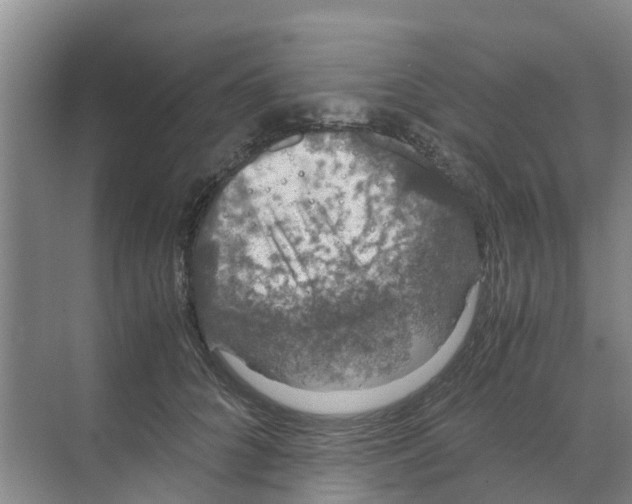 X0000070170704200606231921