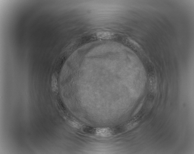 X0000070170705200606231921