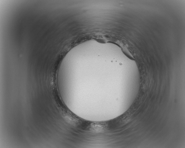 X0000070170706200606231921