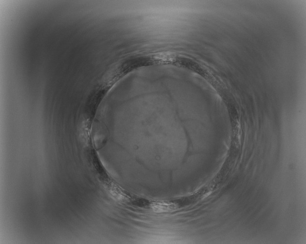 X0000070170707200606231921