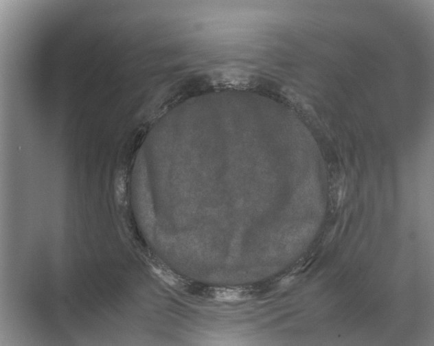 X0000070170709200606231921