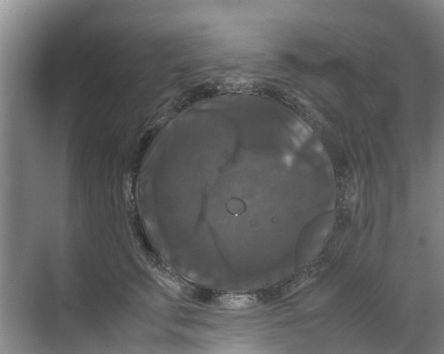 X0000070170711200606231921