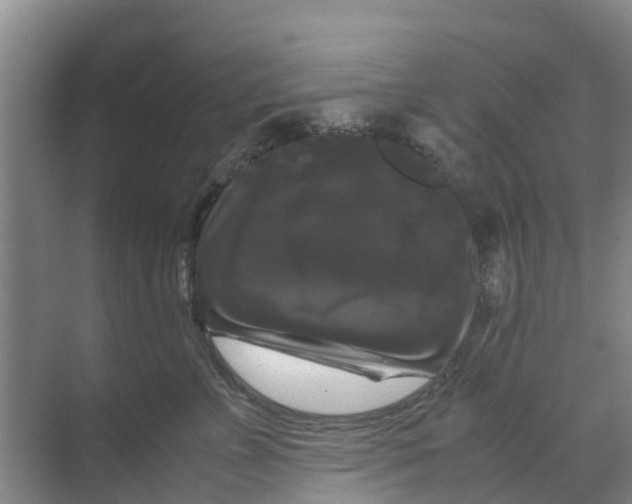 X0000070170715200606231921