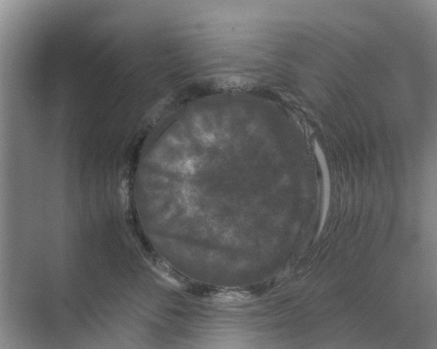 X0000070170716200606231921