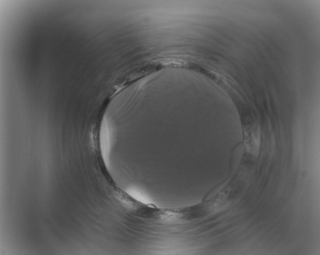 X0000070170718200606231921