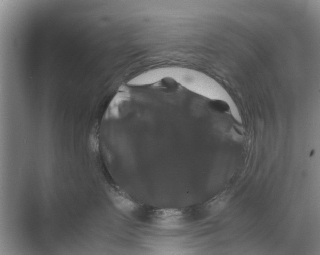 X0000070170719200606231921