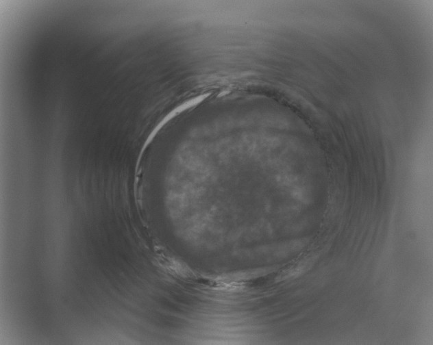 X0000070170720200606231921