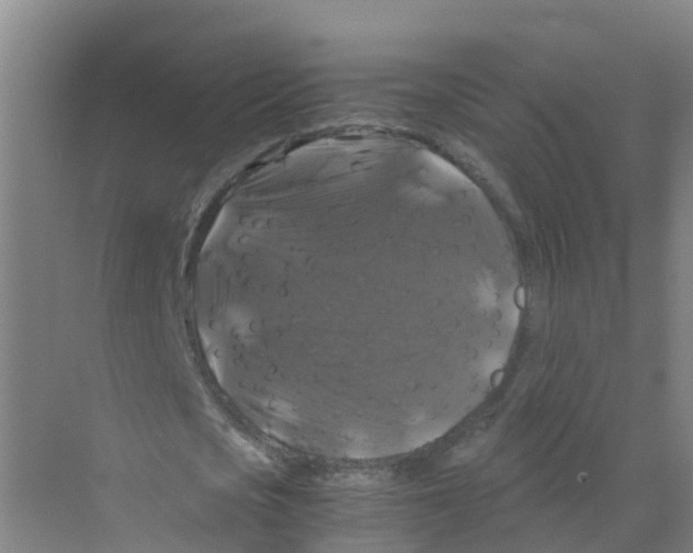 X0000070170721200606231920